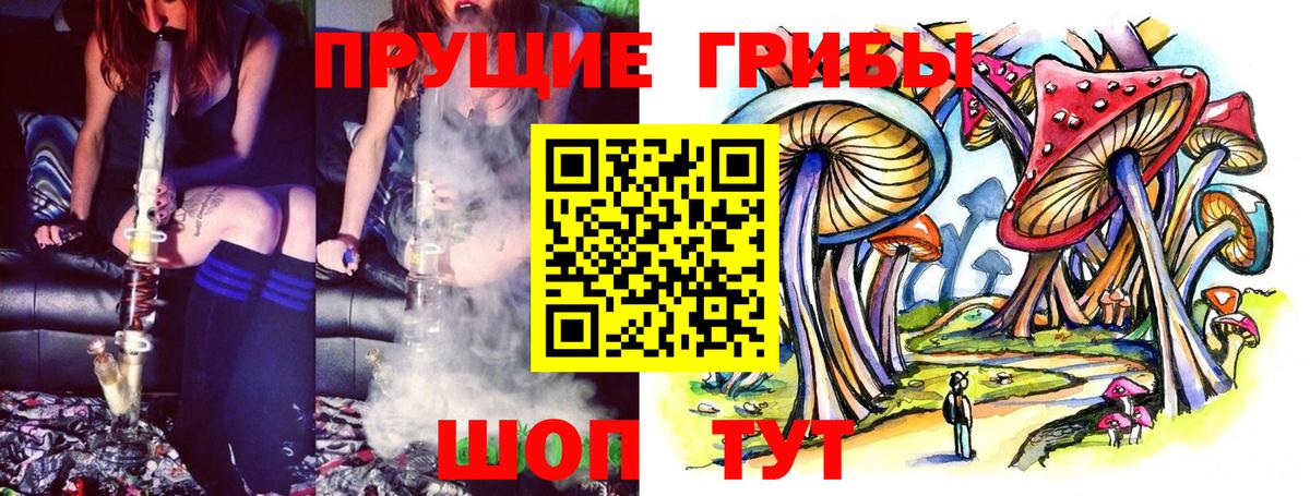 Псилоцибиновые грибы Psilocybine cubensis Железногорск