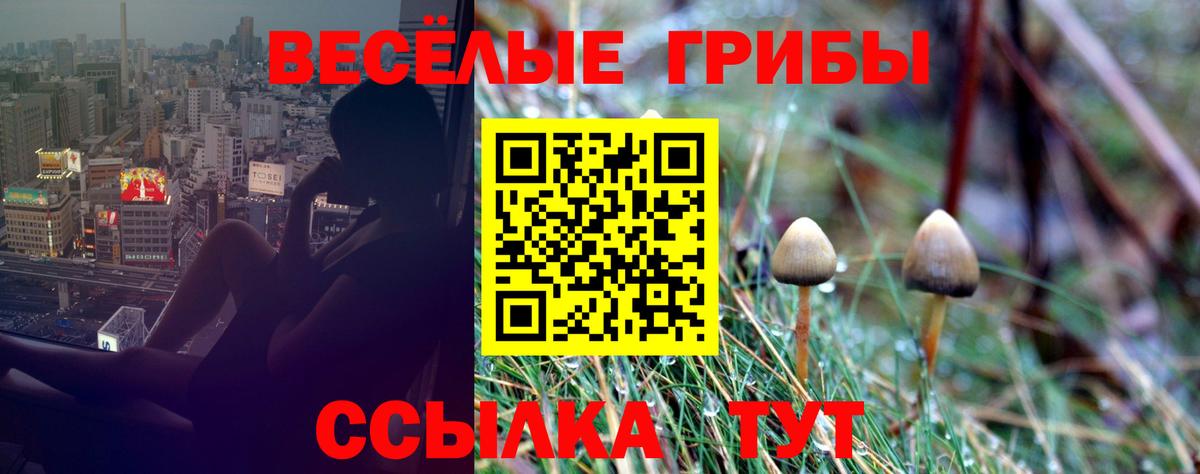 Железногорск  Псилоцибиновые грибы мухоморы  Галлюциногенные грибы мухоморы  Вход с VPN 